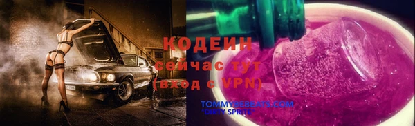 spice Богданович