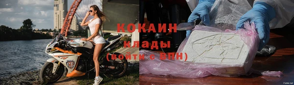 spice Богданович