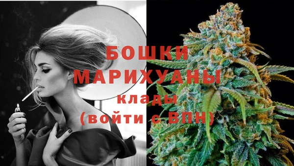 spice Богданович