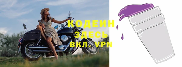 spice Богданович