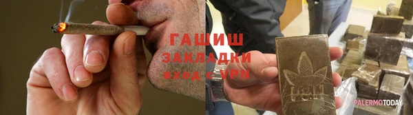 spice Богданович