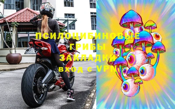 spice Богданович
