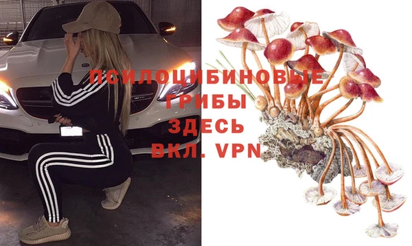 героин Богородицк