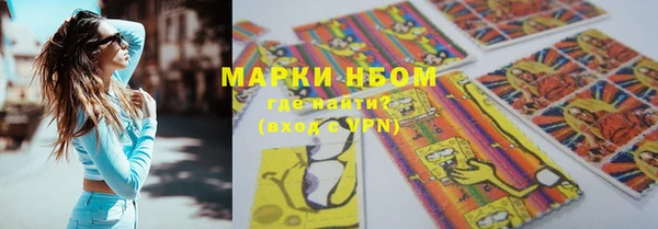 spice Богданович