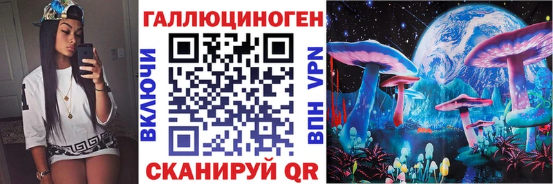Купить  Минеральные Воды  Галлюциногенные грибы Psilocybine cubensis 